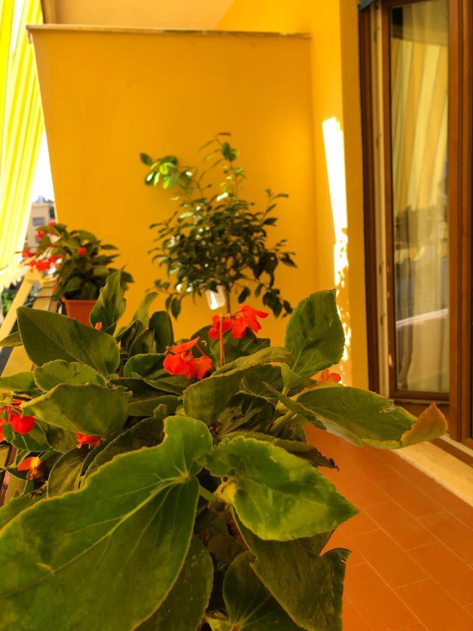 B&B La Rada Сорренто Экстерьер фото